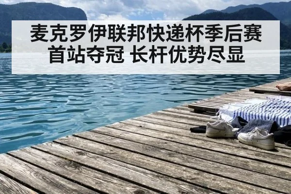 麦克罗伊联邦快递杯季后赛首站夺冠 长杆优势尽显