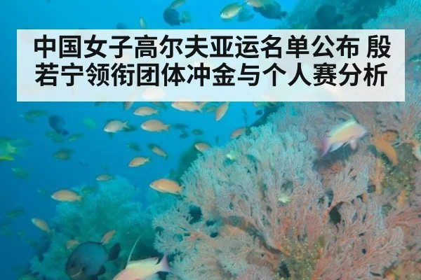 中国女子高尔夫亚运名单公布 殷若宁领衔团体冲金与个人赛分析